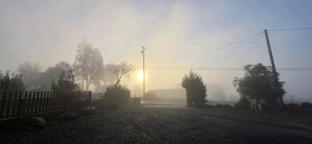 Image uploaded by Someone