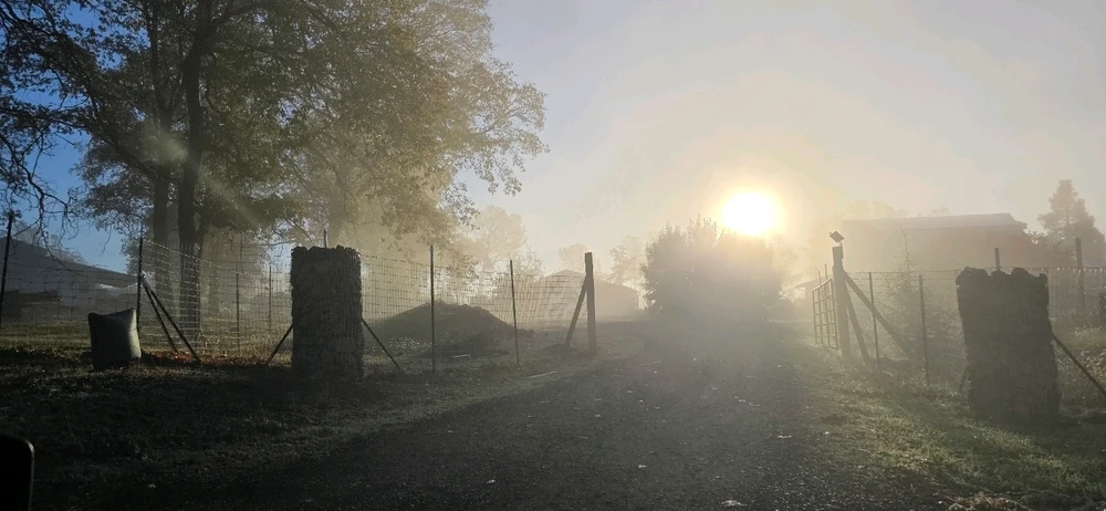 Image uploaded by Someone