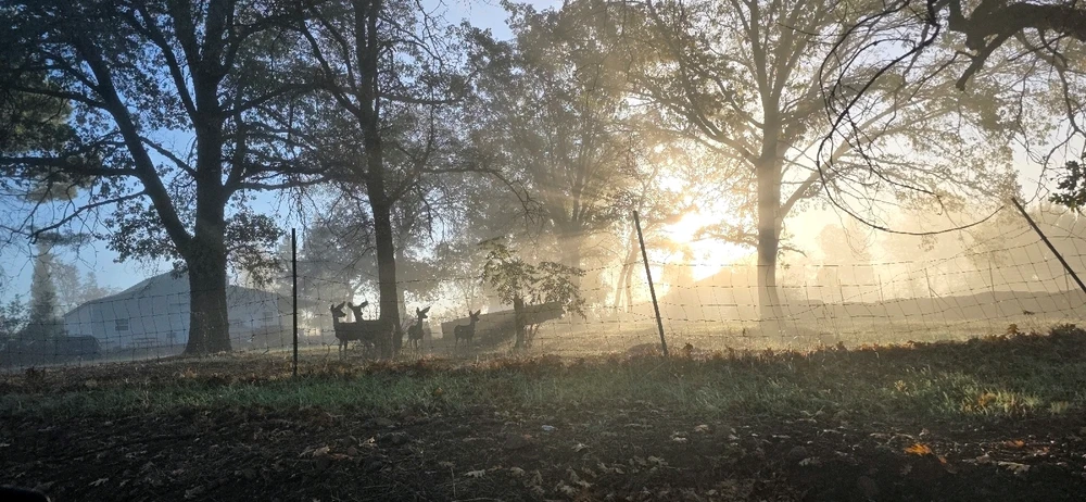 Image uploaded by Someone