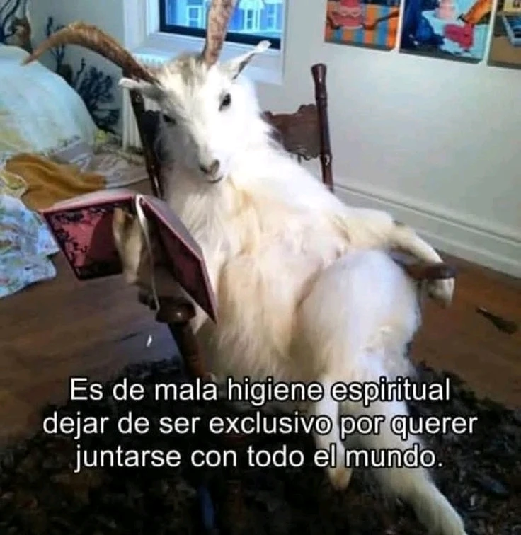 GIF subido por Kiara