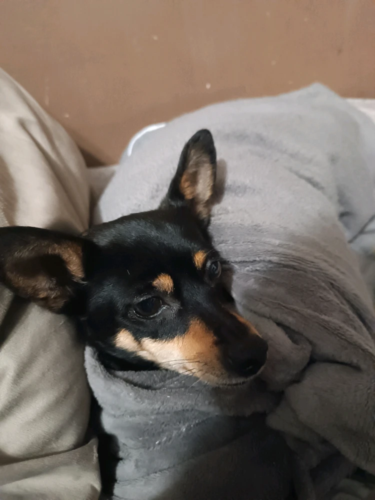 GIF dodany przez Krzysztof Owsianka