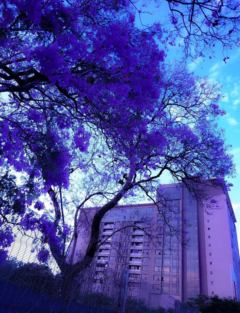 GIF gi-upload ni Darin