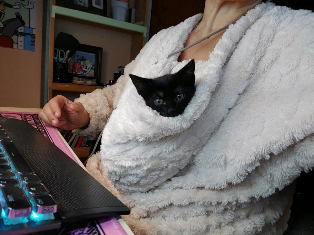 GIF uploaded by ❤ Sophia aka Mango Mami ❤️