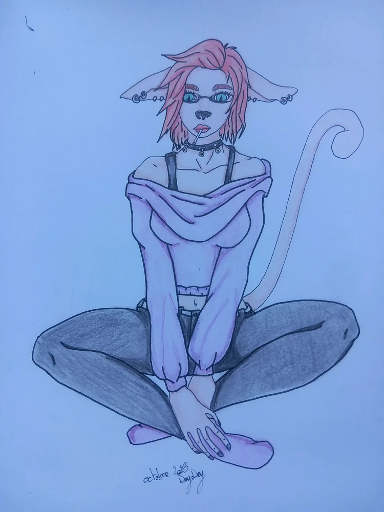 Petite evolution entre 2019 et 2025