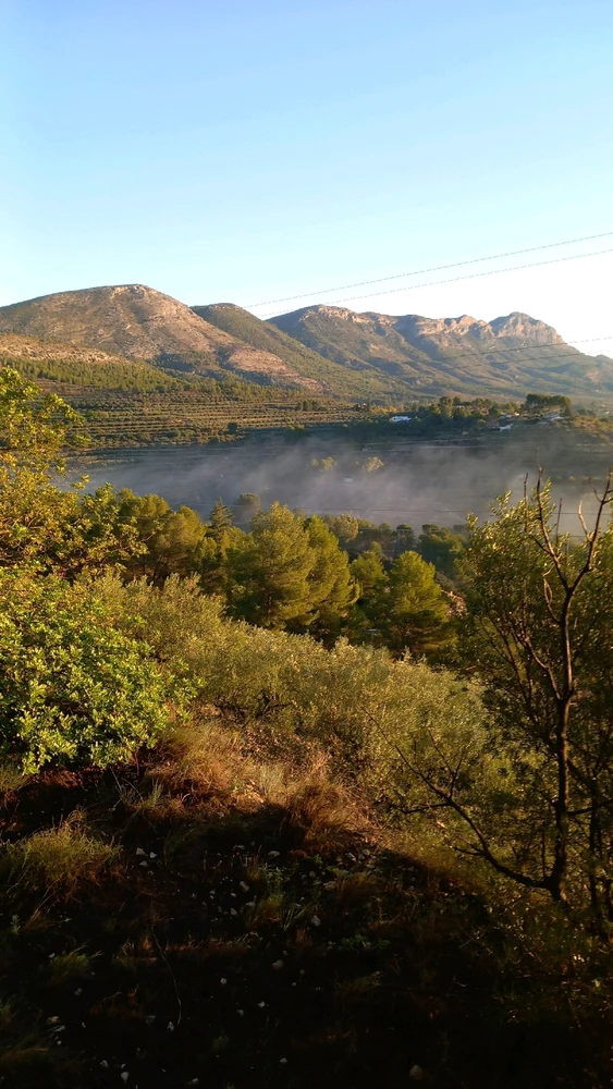 GIF uploaded by Vixenso