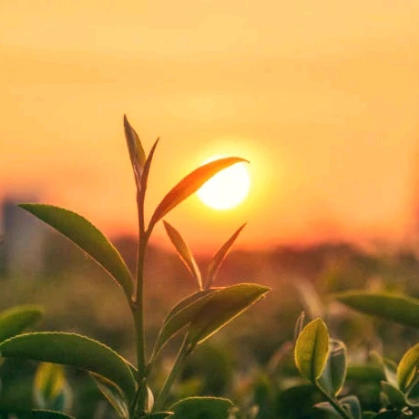 Bonne soirée à vous ☺️