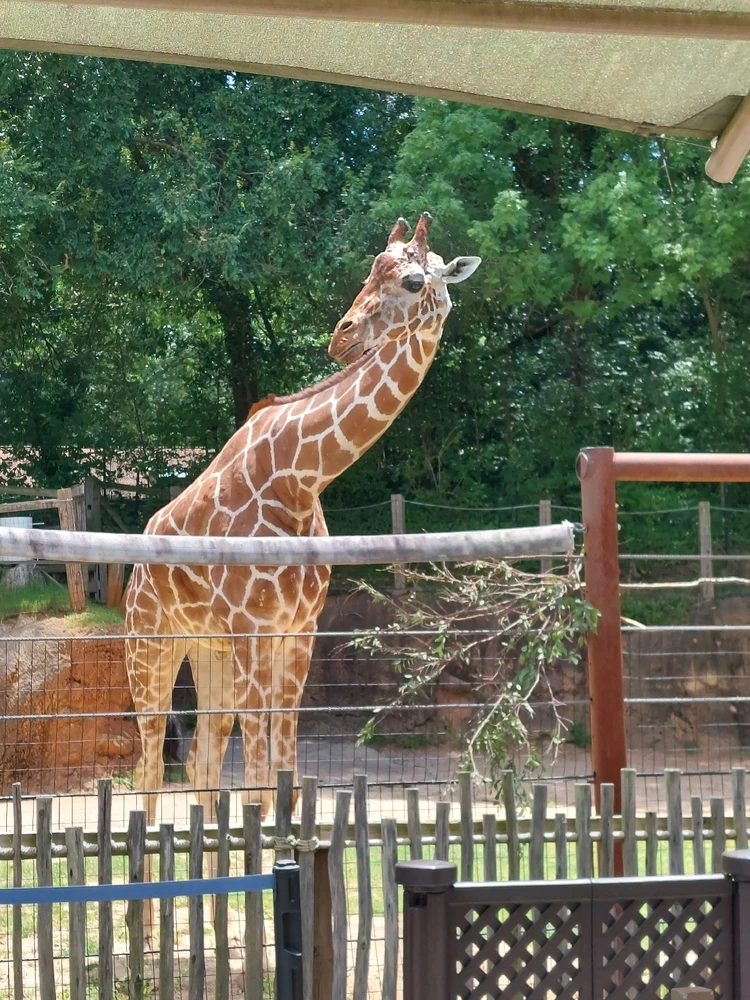 GIF uploaded by Jonathan