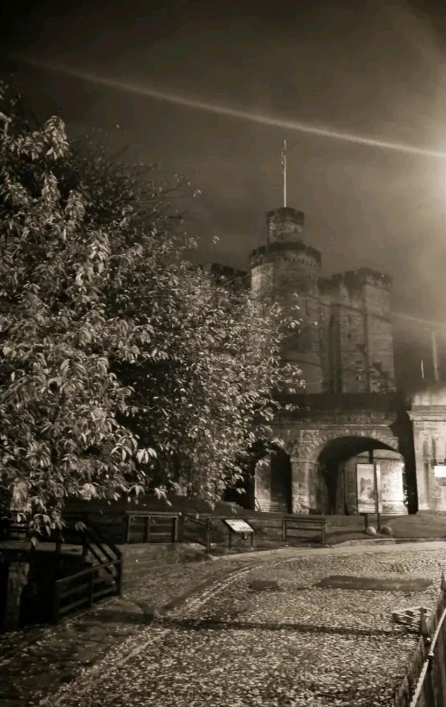 Image uploaded by David