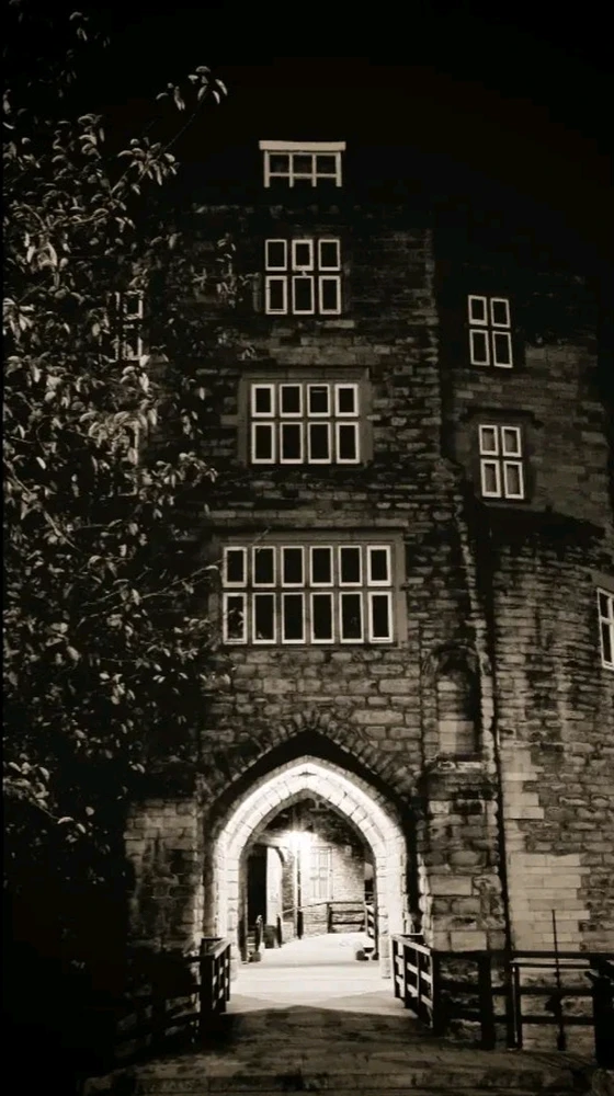 Image uploaded by David