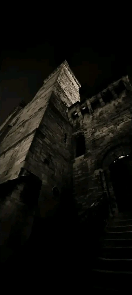 Image uploaded by David