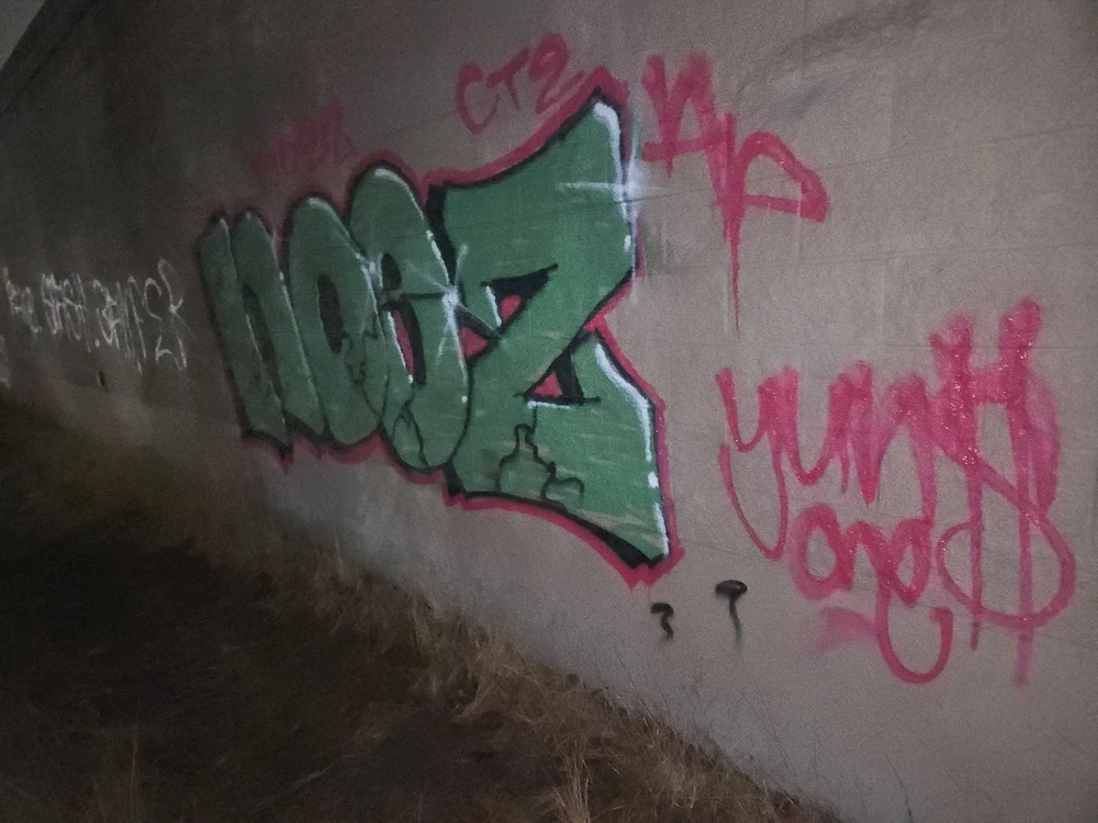 Duab xa los ntawm Noez