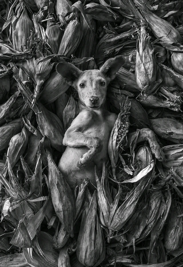 GIF subido por ꓄ђ