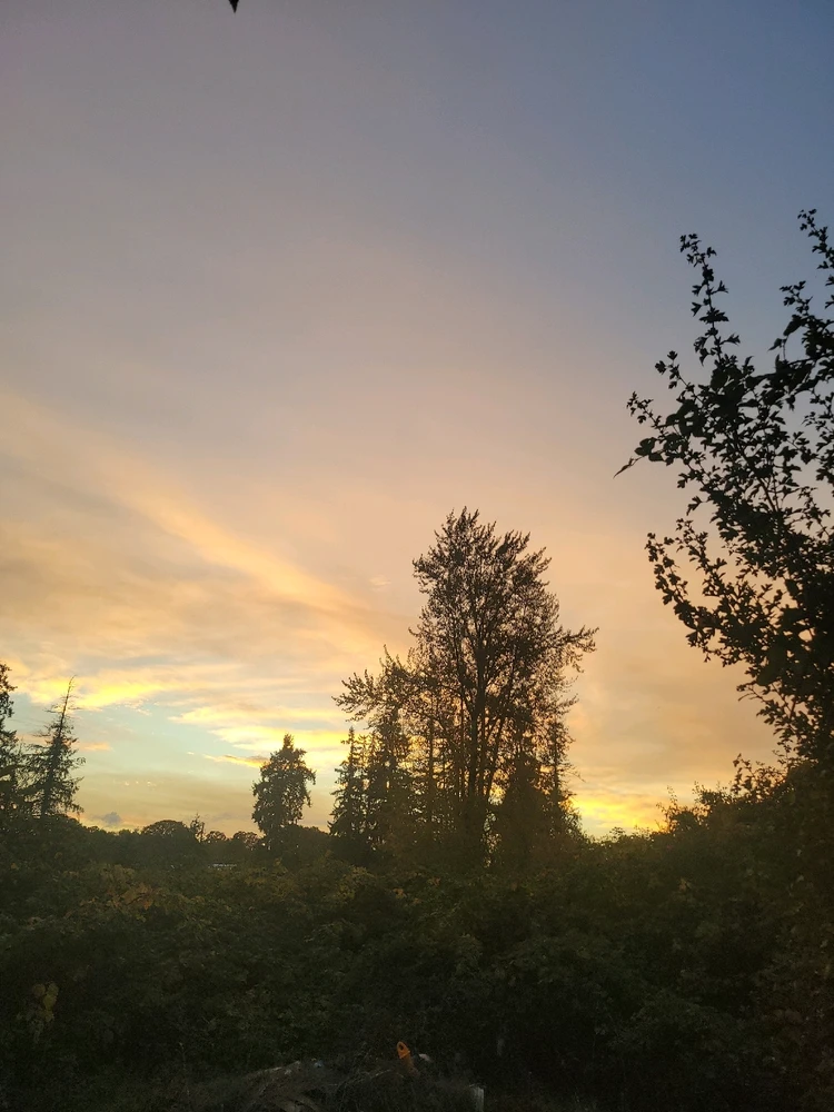 GIF uploaded by El