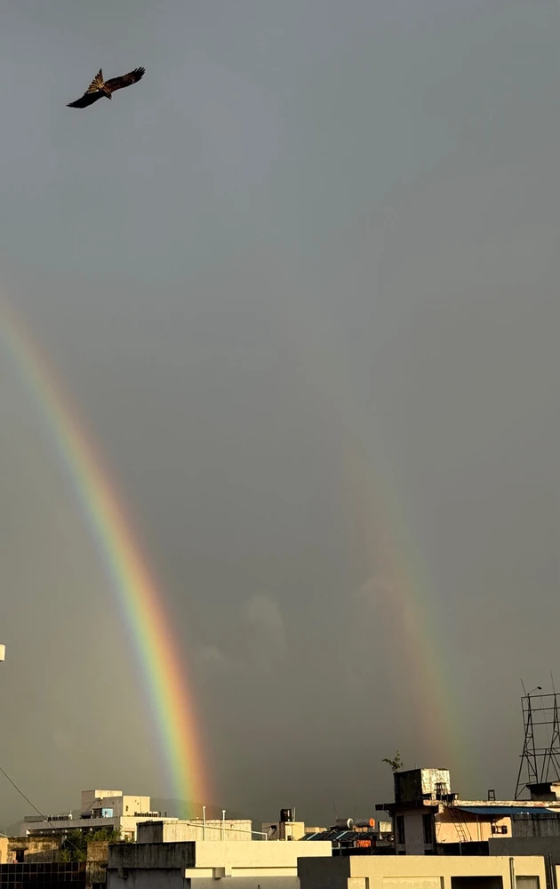 Image uploaded by Harsha