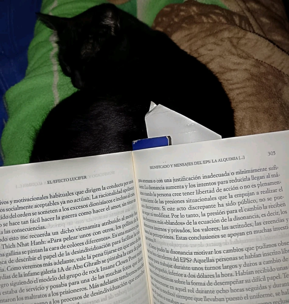 Un michi y un libro, perfecta combinación 👌🐈‍⬛📖