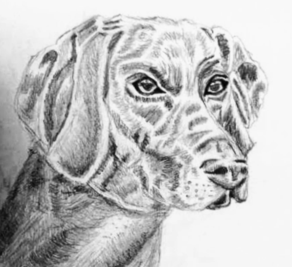 GIF uploaded by Mika
