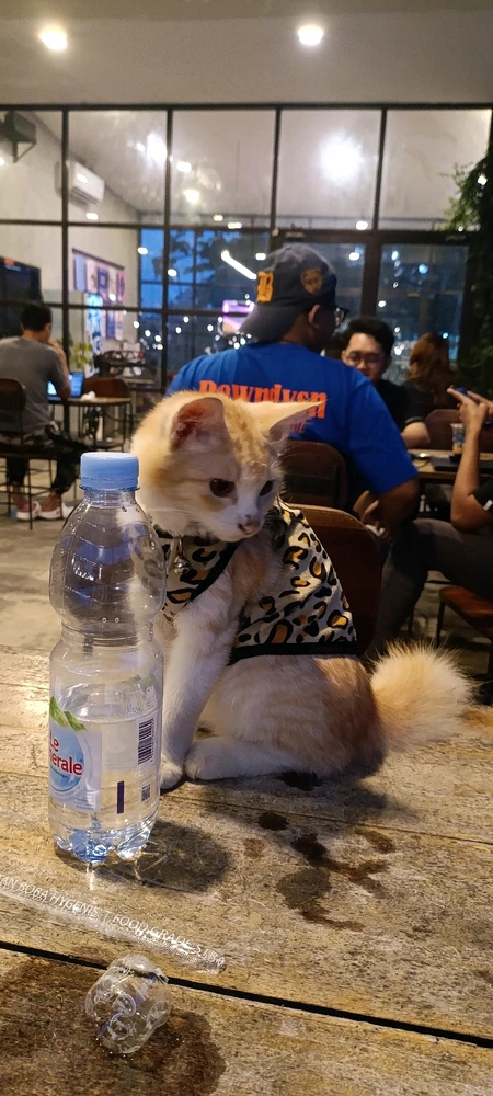 GIF diunggah oleh Bimbim