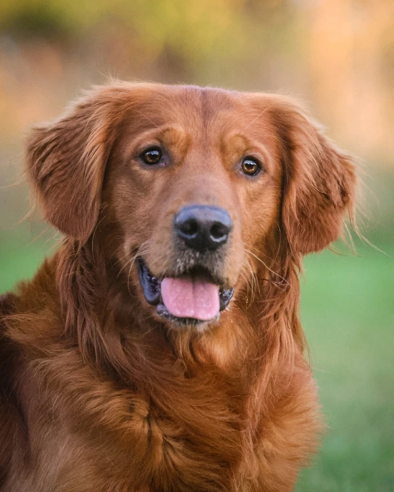 GIF uppladdad av Nathalie