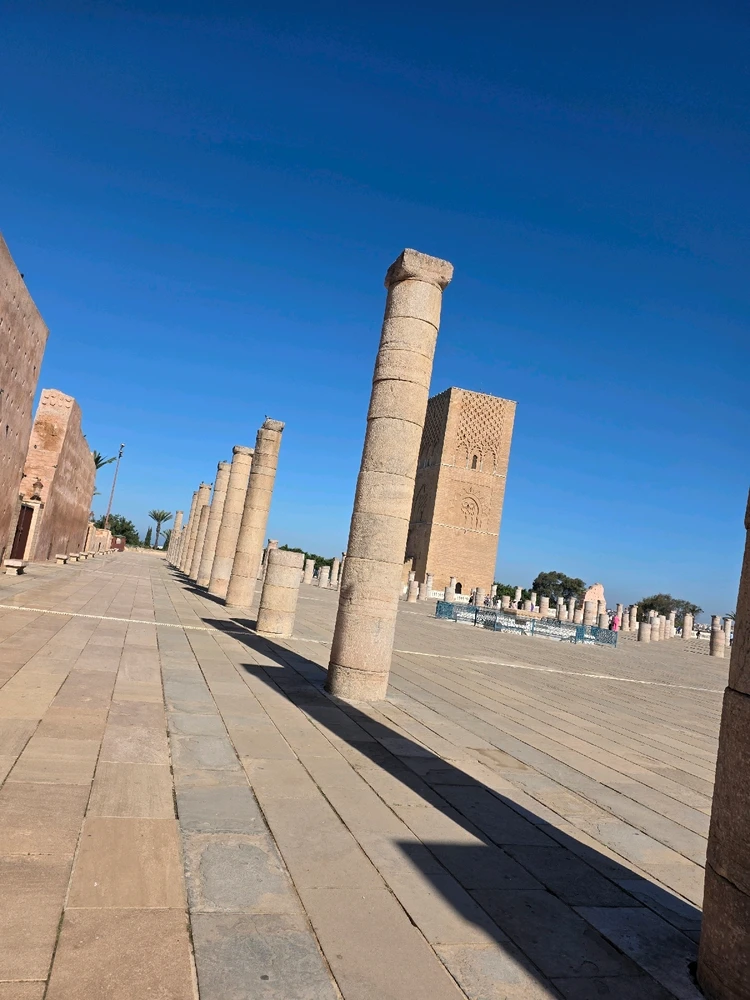 Coucou du Maroc 😎