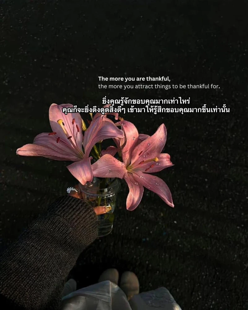 รูปที่อัพโหลดโดย Hasana