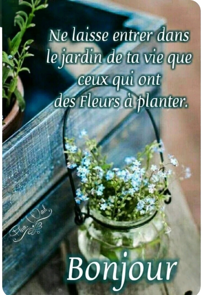 Un coucou du matin 🙋🌸