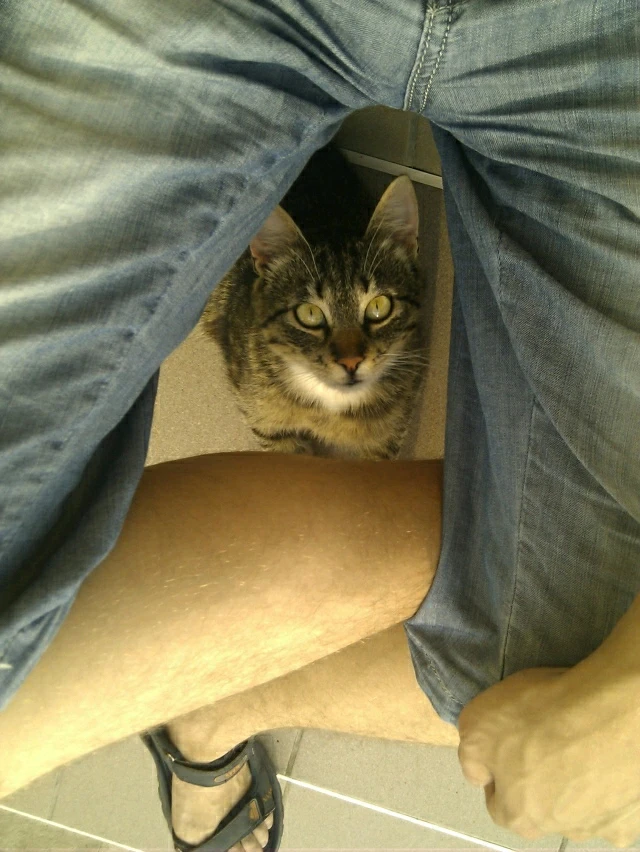 GIF загружаны Pavel