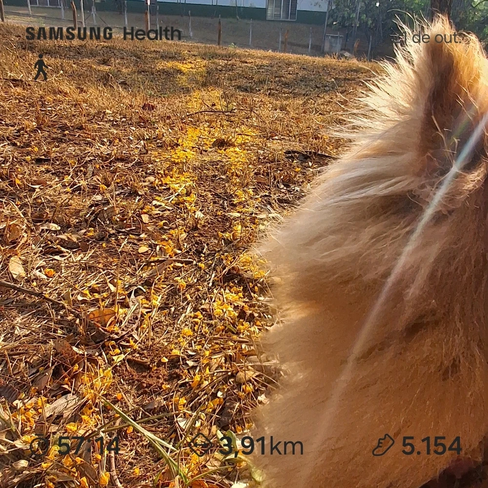 GIF enviado por Carol