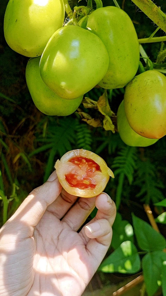 Image uploaded by ranni