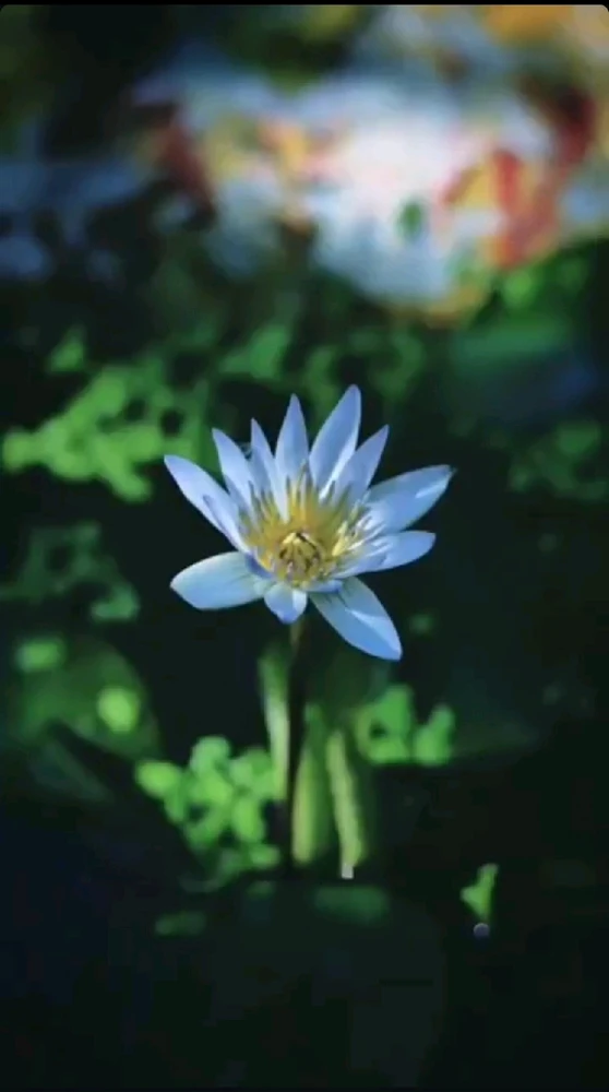 GIF uploaded by Vijay