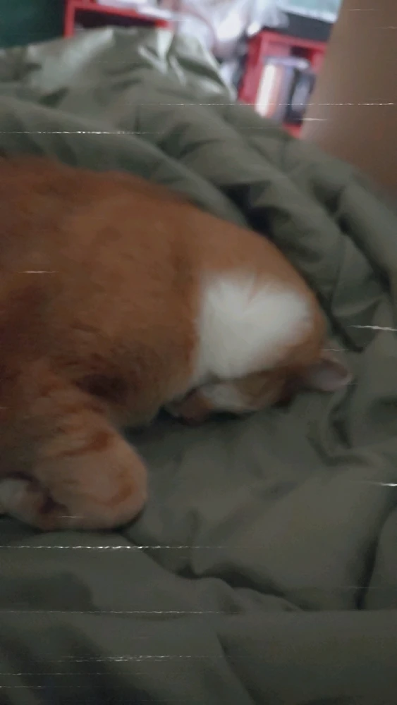 GIF na in-upload ni Dakota