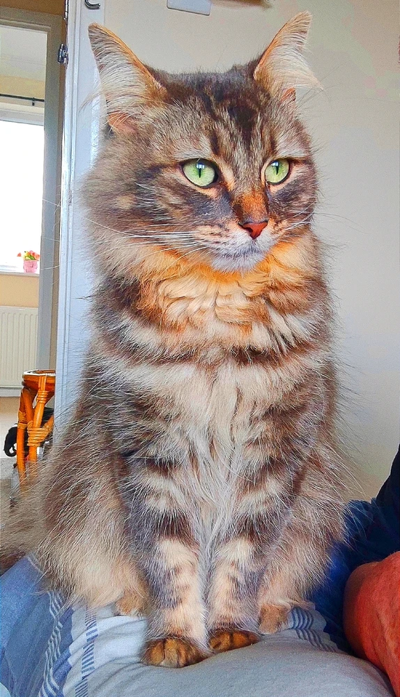 Image uploaded by Andy