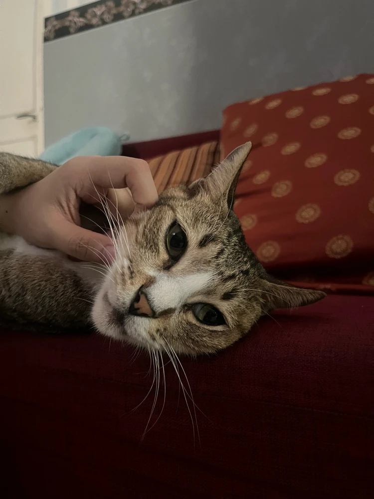 Image uploaded by Dana