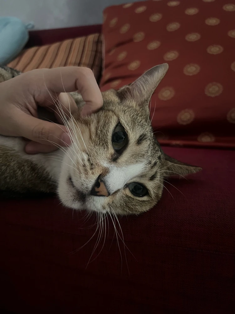 Image uploaded by Dana