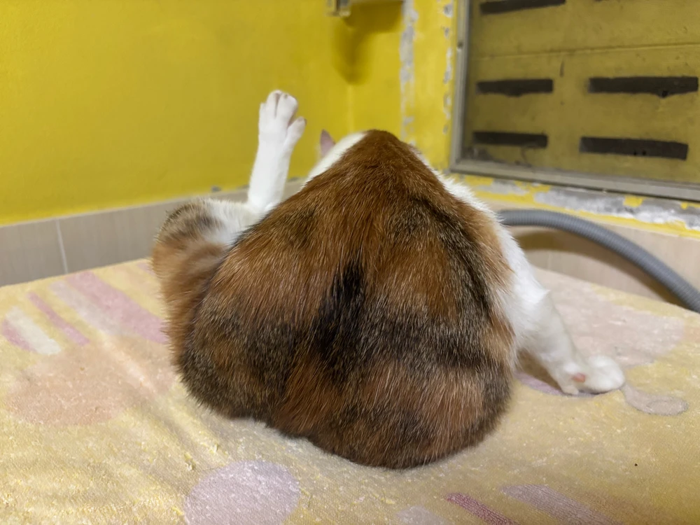 Image uploaded by Pat♡