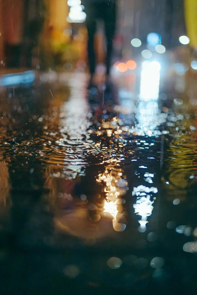 Фото загрузил Евгений