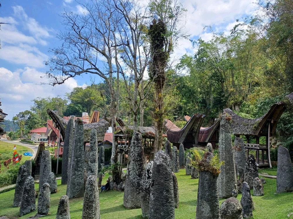 Menhirs and stone graves