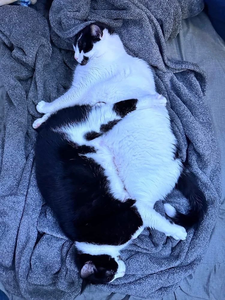 All is balanced in the universe