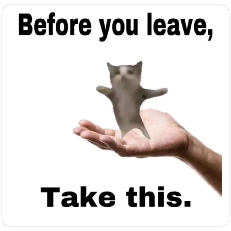 Sebelum kamu pergi, ambil ini.