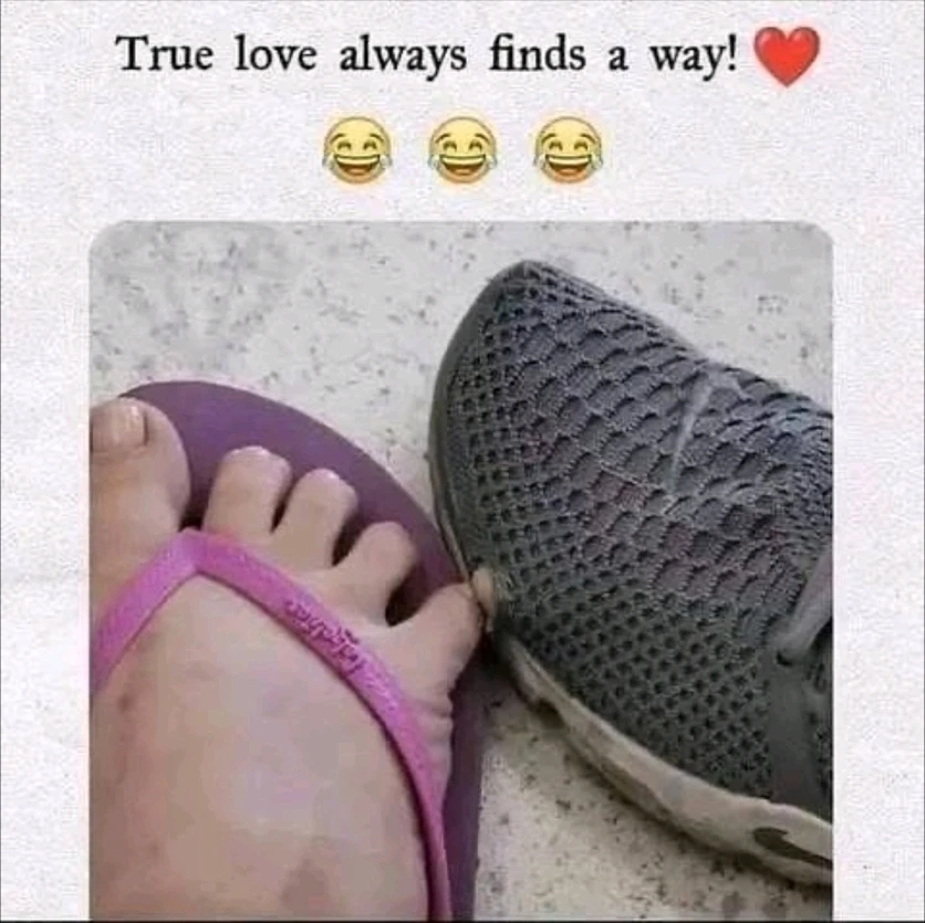 GIF uploaded by HighMonky