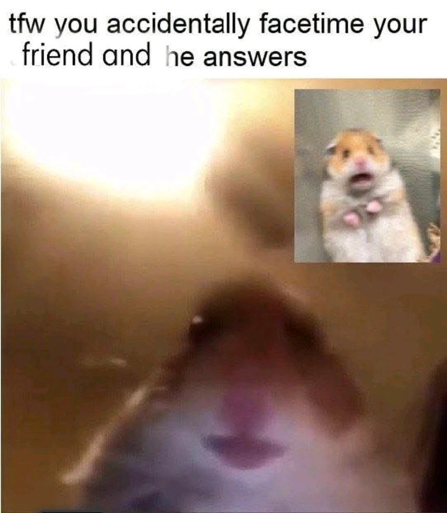 GIF hochgeladen von Hagalaz