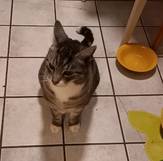 GIF hochgeladen von Basti aka Bierserker