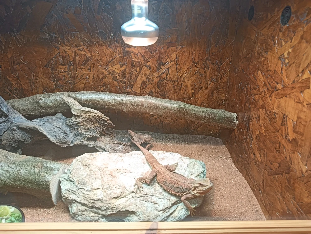 Immagine caricata da Luca