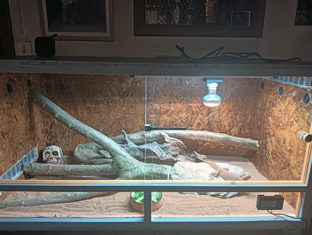 Immagine caricata da Luca