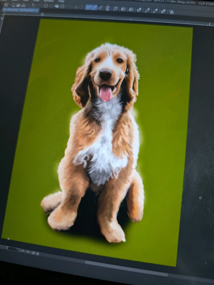 Further updates on pet portraits