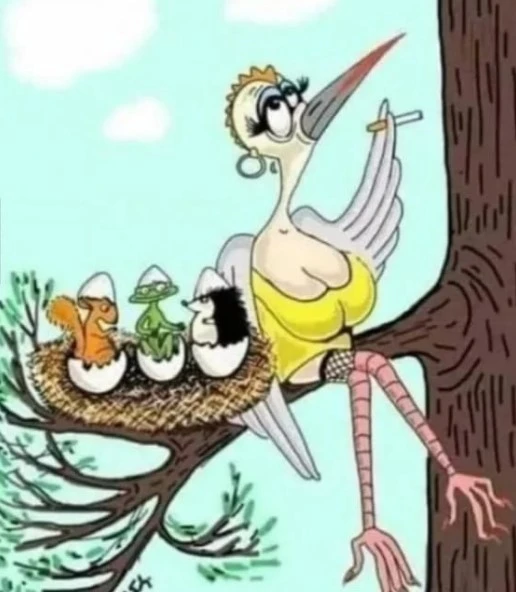 Zdjęcie dodane przez Krzysiek