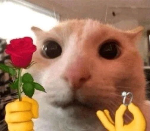 Гіфку завантажив Ярися