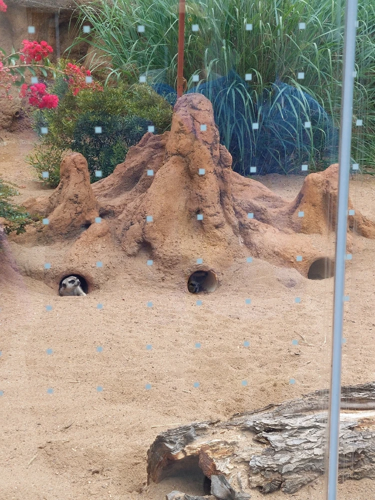 GIF uploaded by Jonathan