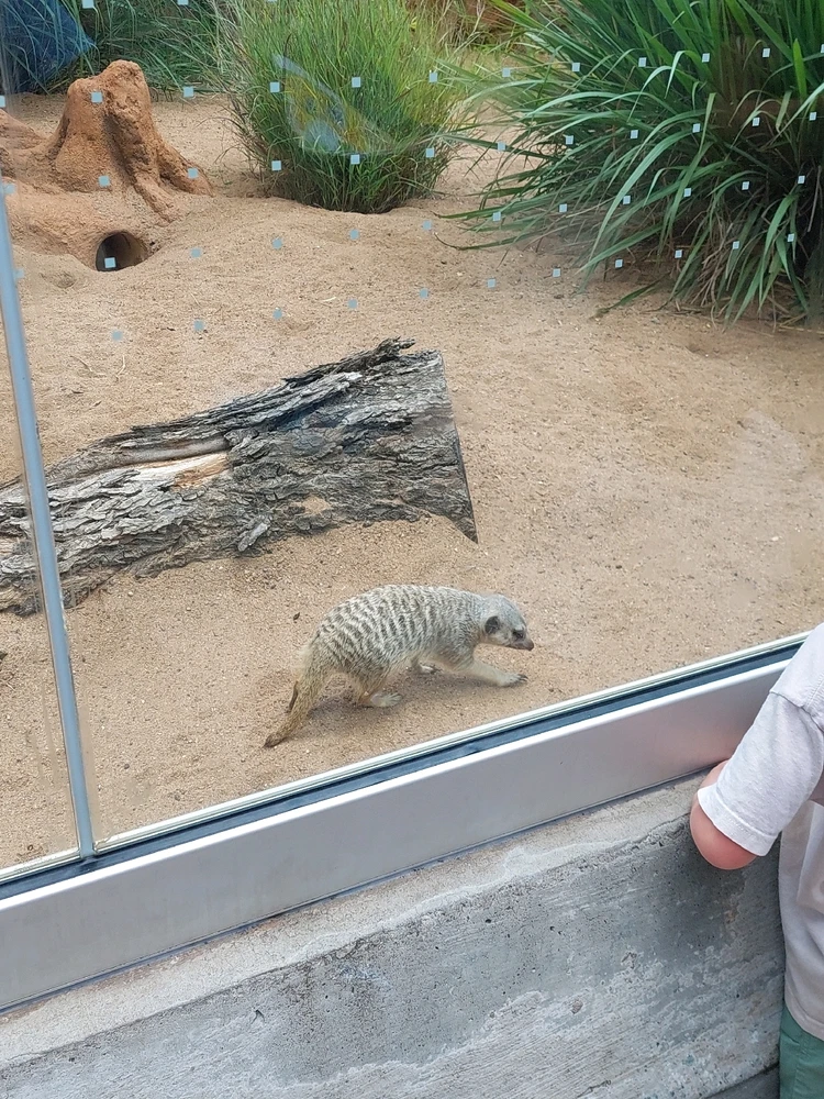 GIF uploaded by Jonathan