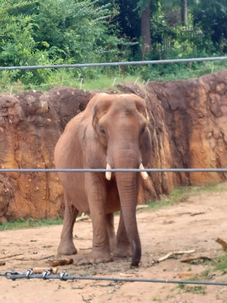 GIF uploaded by Jonathan