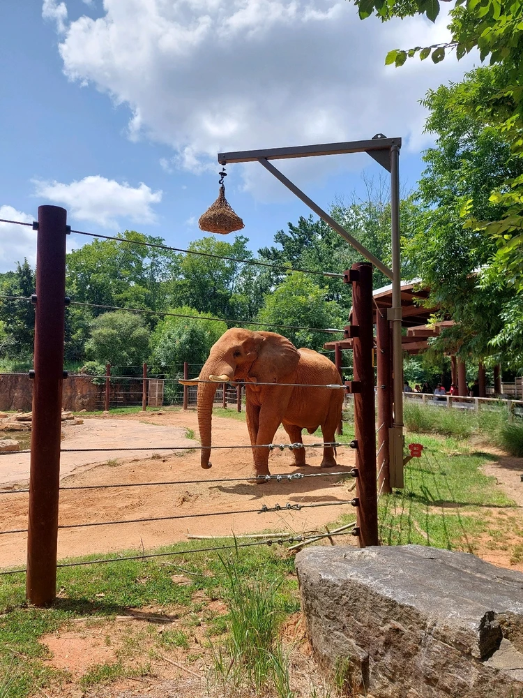 GIF uploaded by Jonathan